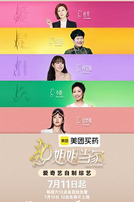 姐姐当家2 高清封面