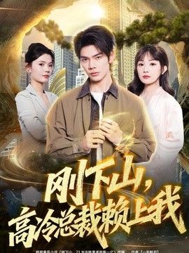 刚下山，高冷总裁赖上我 高清封面