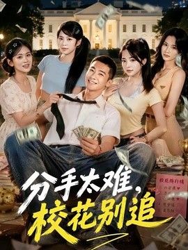 分手太难，校花别追 高清封面