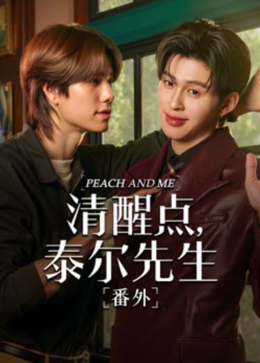 清醒点 泰尔先生番外篇 高清封面