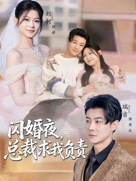 闪婚夜，总裁求我负责 高清封面