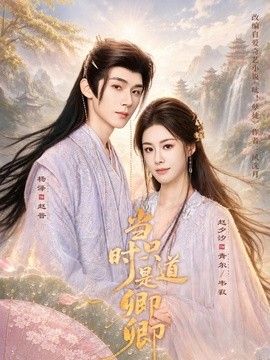 当时只道是卿卿 高清封面