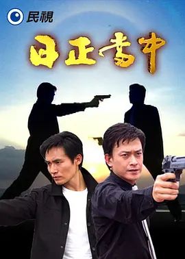 日正当中 高清封面