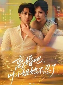 离婚吧，叶小姐她不忍了 高清封面