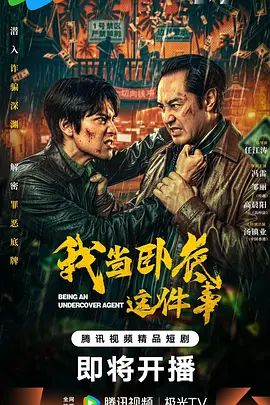 我当卧底这件事 高清封面