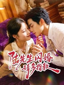 陆先生闪婚请多指教 高清封面