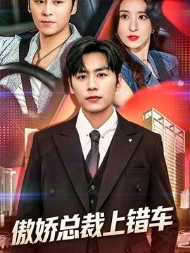 傲娇总裁上错车 高清封面