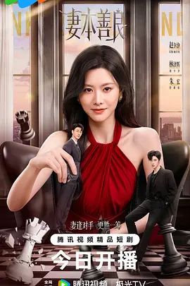 妻本善良 高清封面