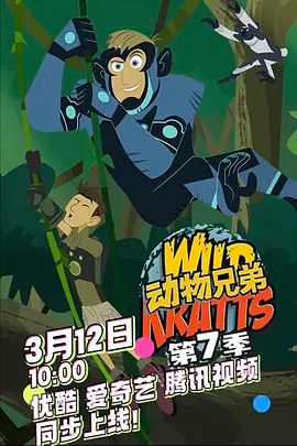 动物兄弟第七季 高清封面
