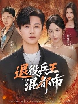 退役兵王混都市 高清封面