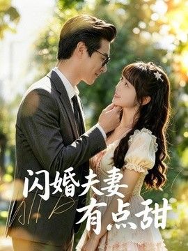 闪婚夫妻有点甜 高清封面