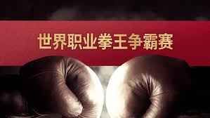 世界职业拳王争霸赛 高清封面