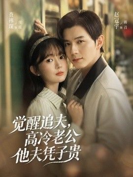 觉醒追夫，高冷老公他夫凭子贵 高清封面