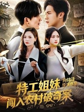 特工姐妹闯入农村破奇案 高清封面