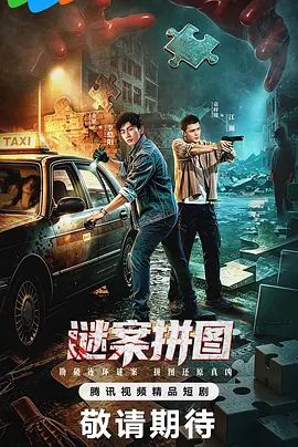 谜案拼图 高清封面