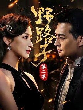 野路子第二季 高清封面