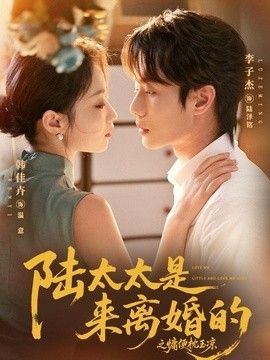 陆太太是来离婚的之慵便枕玉凉 高清封面
