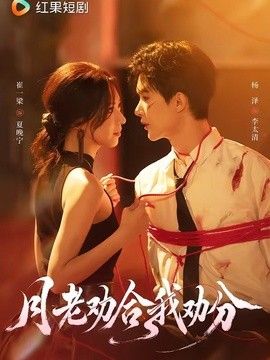月老劝合我劝分 高清封面