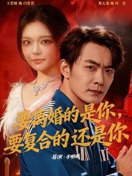 要离婚的是你，要复合的还是你 高清封面