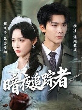 暗夜追踪者 高清封面