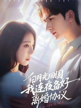 白月光回国我连夜备好离婚协议 高清封面