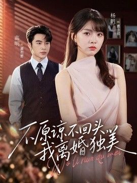 不原谅不回头，我离婚独美 高清封面