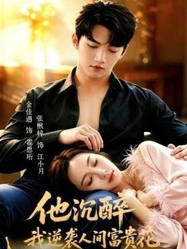 他沉醉，我逆袭人间富贵花 高清封面