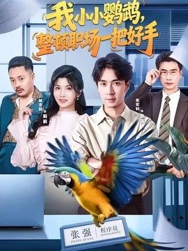我小小鹦鹉，整顿职场一把好手 高清封面