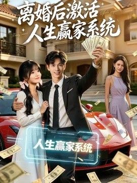 离婚后激活人生赢家系统 高清封面
