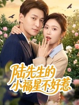 陆先生的小福星不好惹 高清封面