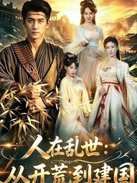 人在乱世：从开荒到建国 高清封面