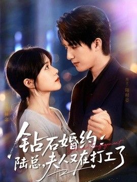 钻石婚约：陆总，夫人又在打工了 高清封面