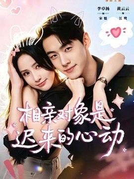 相亲对象是迟来的心动 高清封面