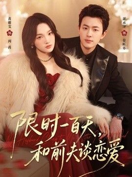 限时一百天，和前夫谈恋爱 高清封面