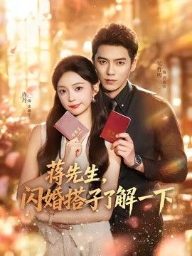 蒋先生，闪婚搭子了解一下 高清封面