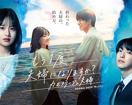 要再做一次夫妇吗?~伪装夫妇~ 高清封面