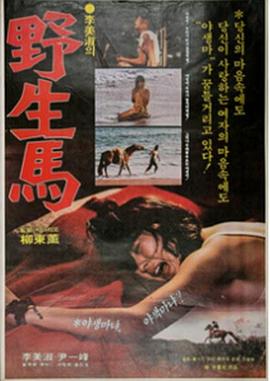 野生馬 高清封面