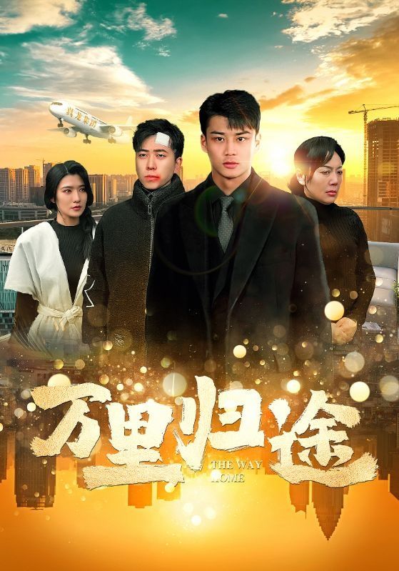 万里归途 高清封面