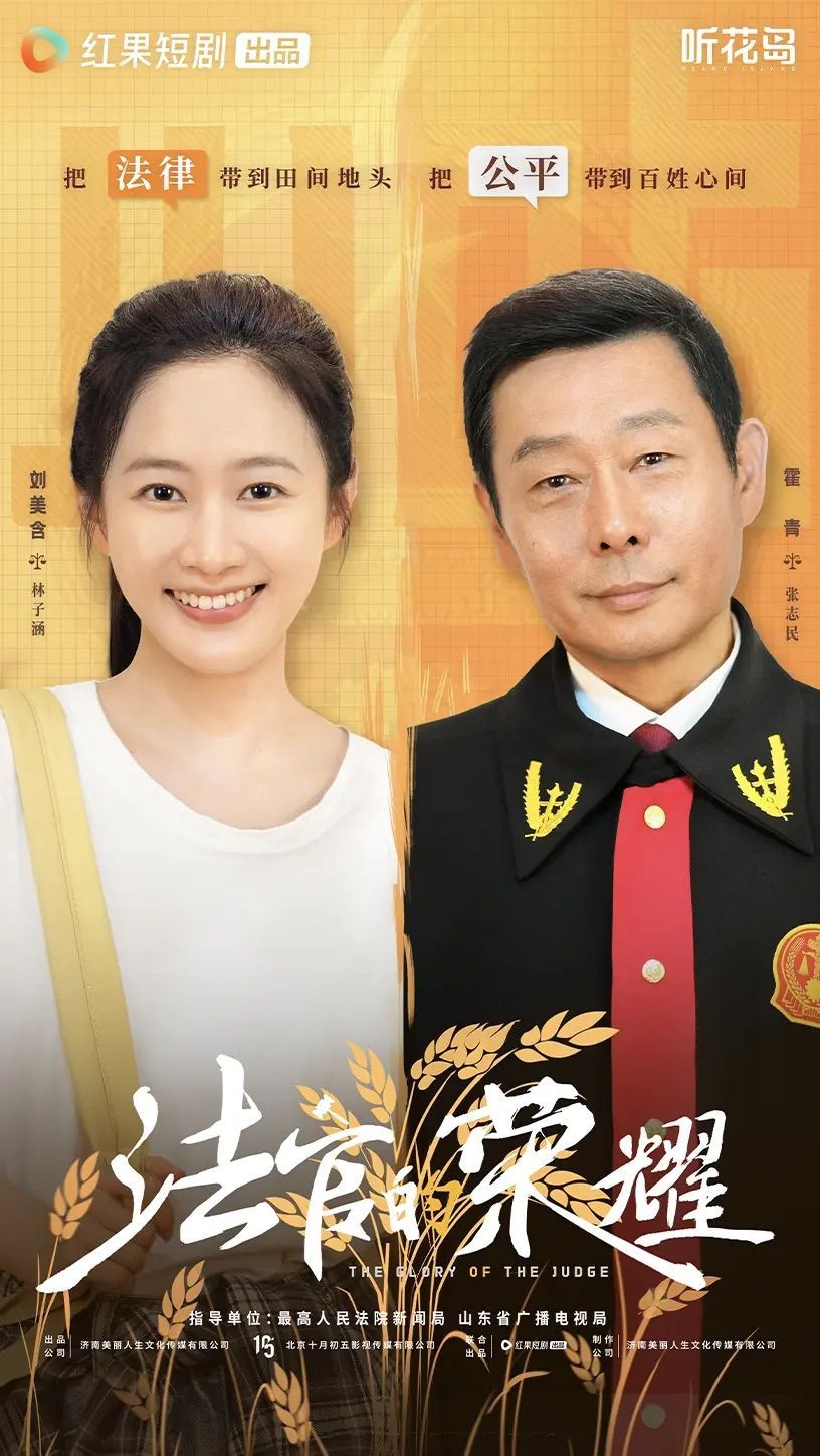 法官的荣耀 高清封面