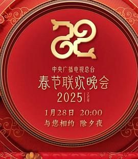 2025年中央广播电视总台春节联欢晚会 高清封面