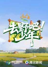 去野吧少年 高清封面