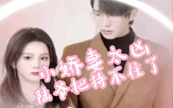 小娇妻太凶,陆爷把持不住了 高清封面