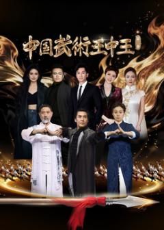中国武术王中王第二季 高清封面
