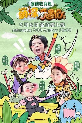 萌探奇遇记 高清封面