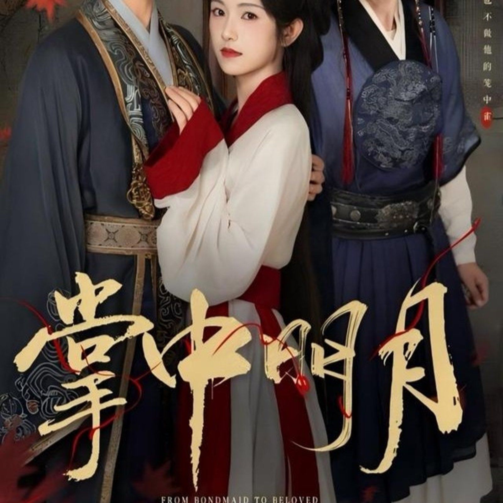 掌中明月 高清封面
