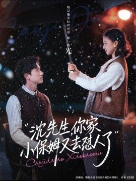 沈先生，你家小保姆又去怼人了 高清封面
