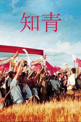 知青 高清封面