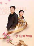 毕业爱情路 高清封面