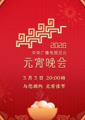 2026年中央广播电视总台元宵晚会 高清封面