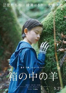 盒子里的羊(2026),主演:是枝裕和、绫濑遥、大悟、桑木里梦、清野菜名、宽一郎、柊木阳太、角田晃广、野吕佳代、星野真里、中岛步、余贵美子、田中泯 高清海报